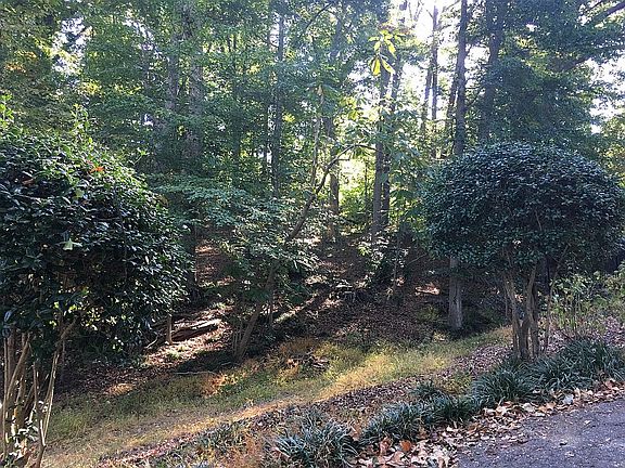 1.1 acre lot