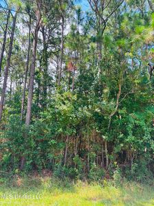 Grouper Rd, Gautier, MS, 39553