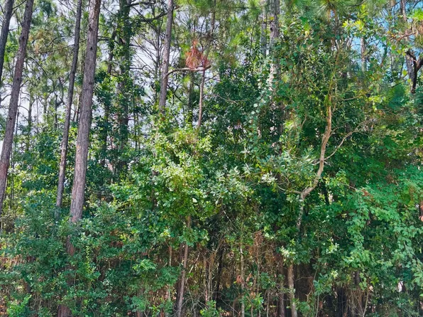 Grouper Rd, Gautier, MS 39553