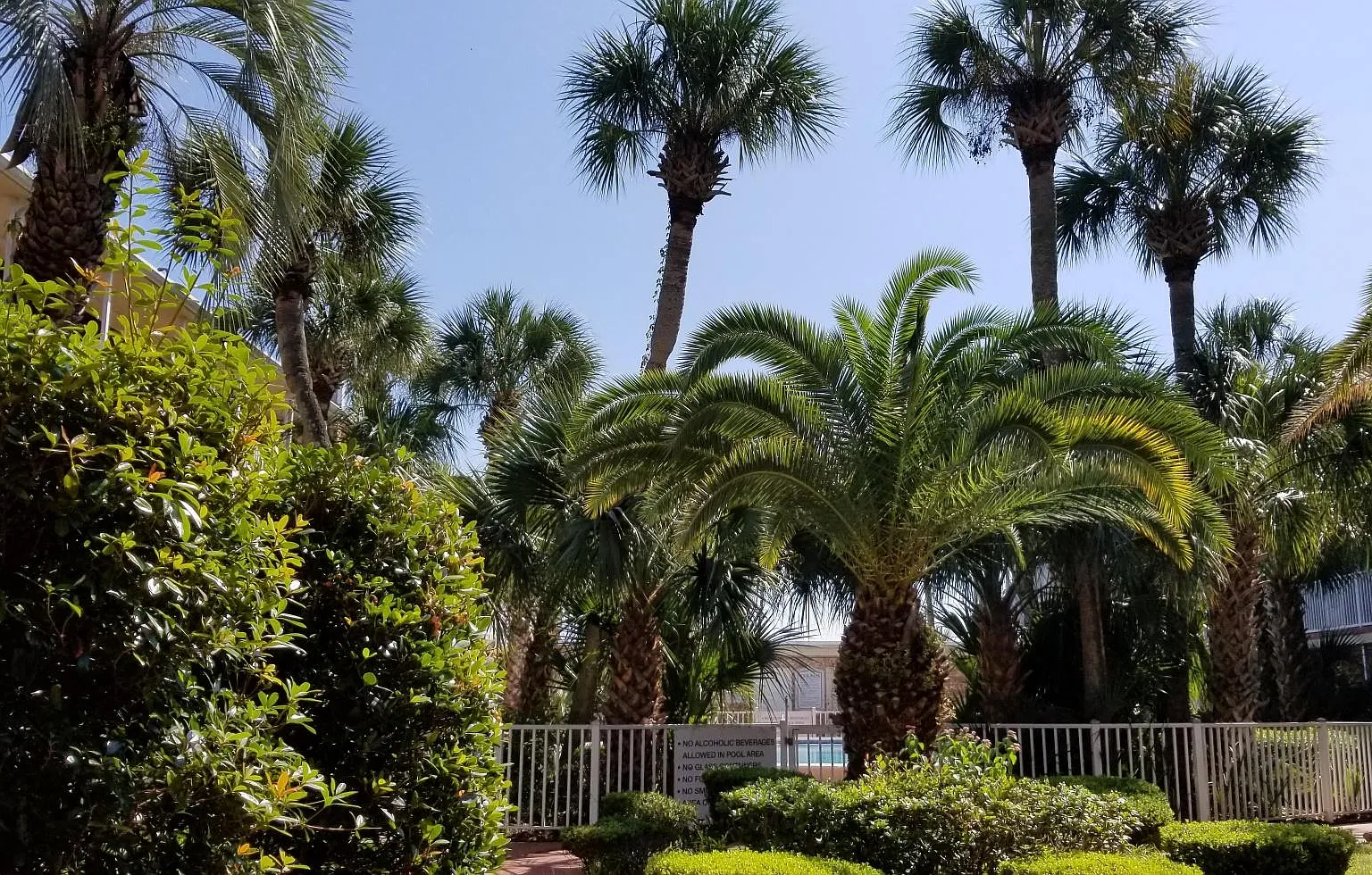 2 bed, 936 sqft, $1,350 — Photo 4
