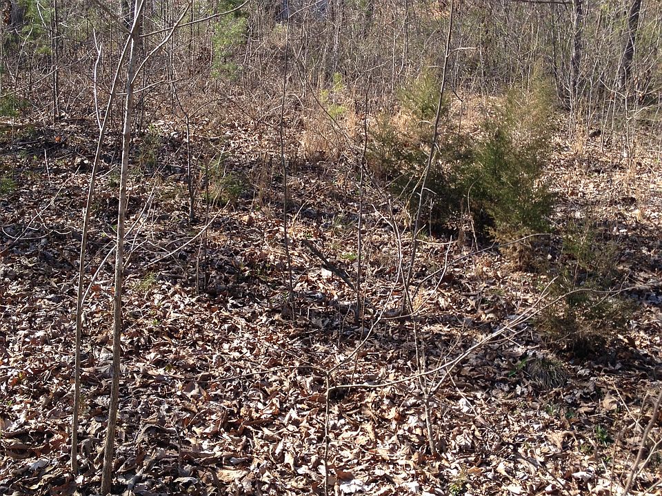 2nd image of 304 Pine Loop Road