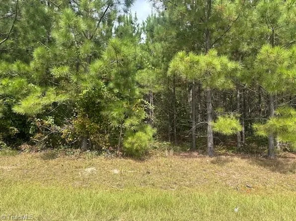 New Tract Belford Church Rd #16, Jackson Springs, NC 27281