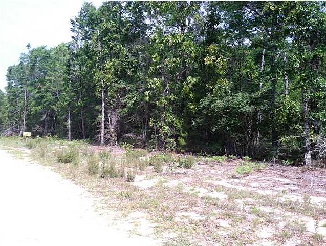 2nd image of Fish Cut Bait Rd