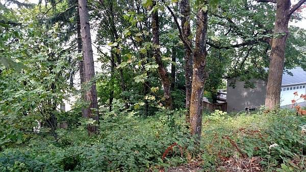 2nd image of 15 Stonecrest Dr