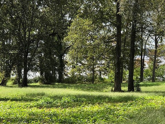 2nd image of Oak Point Dr