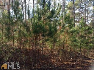 120 Dukes Ct, Brooks, GA 30205