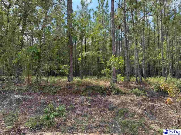 Wire 2 Rd, Cheraw, SC 29520