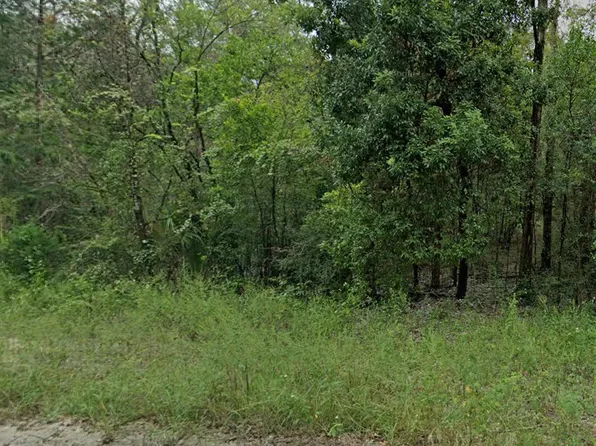 0 NE 160th Ave, Williston, FL 32696