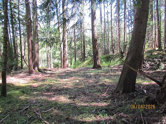 4th image of 4523 Bedwell Harbour Rd