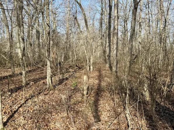 101 Antietam Rd Lot 107, Beechgrove, TN 37018