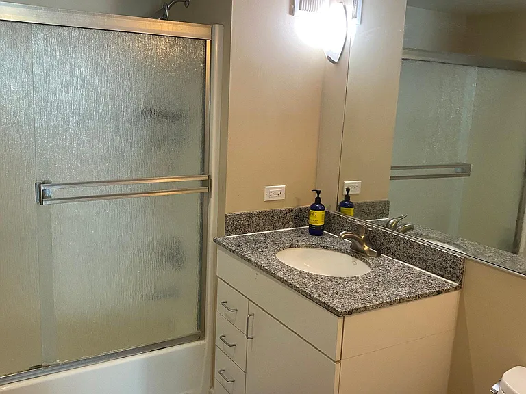 425 W Beech St #1407 — Photo 6