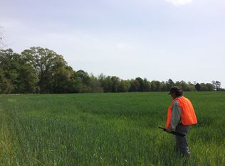 6000 Sr #128, Oglethorpe, GA 31068