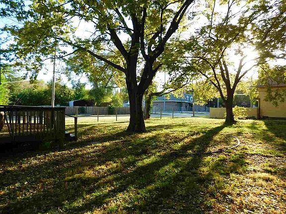 back yard