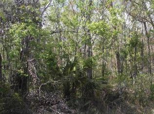 10555 Ruth Ave, Hastings, FL 32145