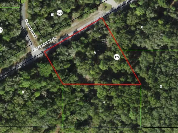 13024 W Cornflower Dr, Crystal River, FL 34428