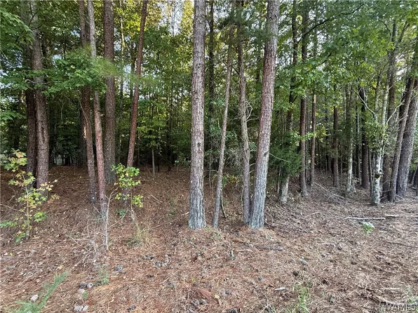 15149 Wire Rd, Cottondale, AL 35453
