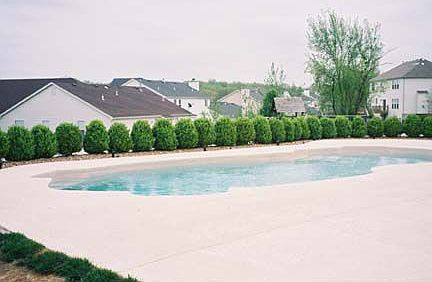 Heated,salt pool w/custom patio.