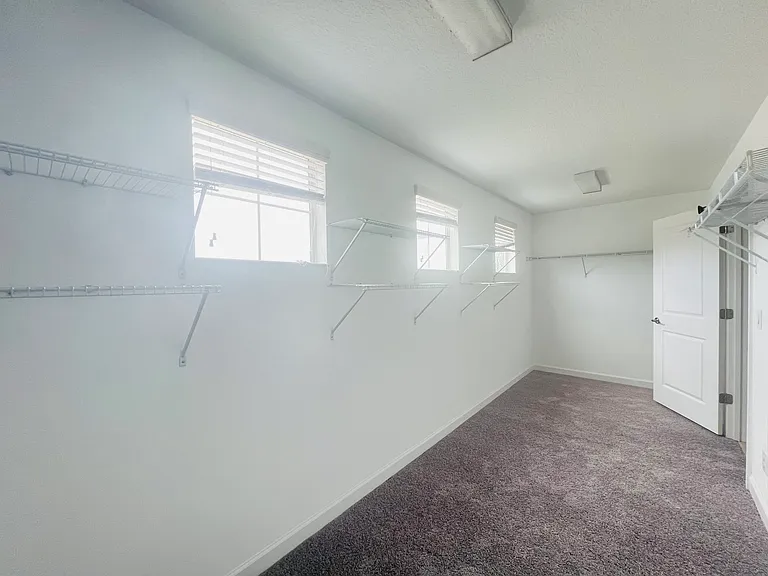 13149 Green Violet Dr — Photo 6