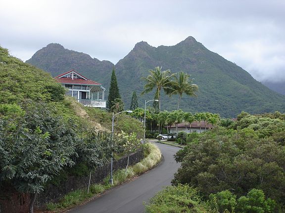 View from Kitchen