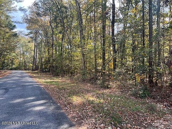 2nd image of 0 Pelahatchie Rd