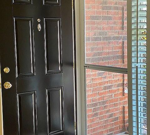 Front door/security window