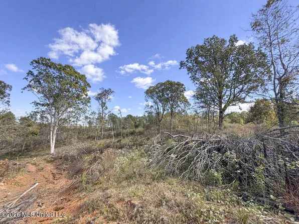 County Road 154, Tillatoba, MS 38961