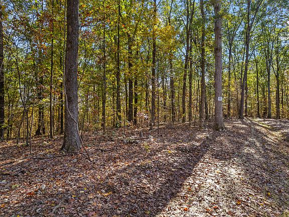 5th image of LOT 6 County Road 29