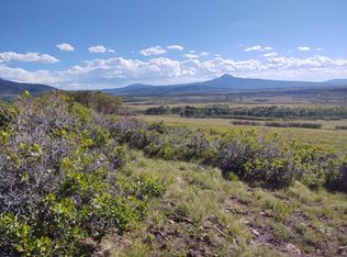 Laughing Dog Rd LOT 11-1, Placerville, CO 81430