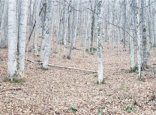 0 The High Rd, Waynesville, NC 28786