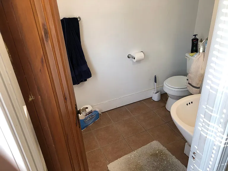 Master bath, shower is right of sink
