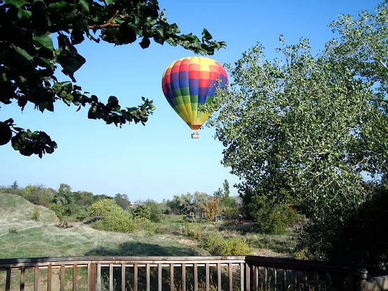 Common sight from backyard viewing deck at rear of property