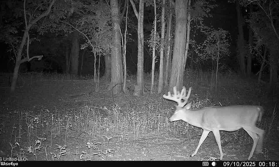 31st image of this home