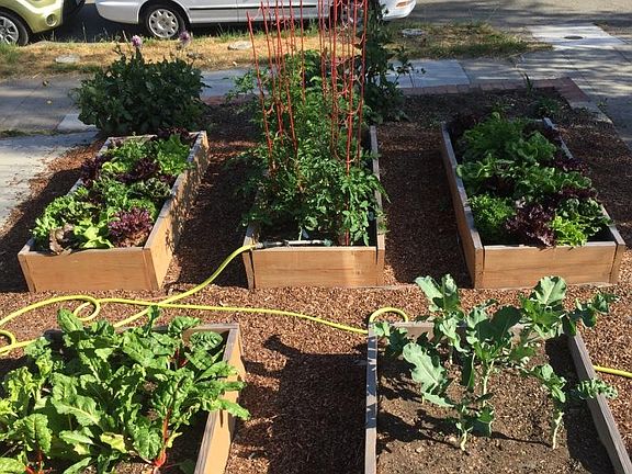 Vegetable garden boxes
