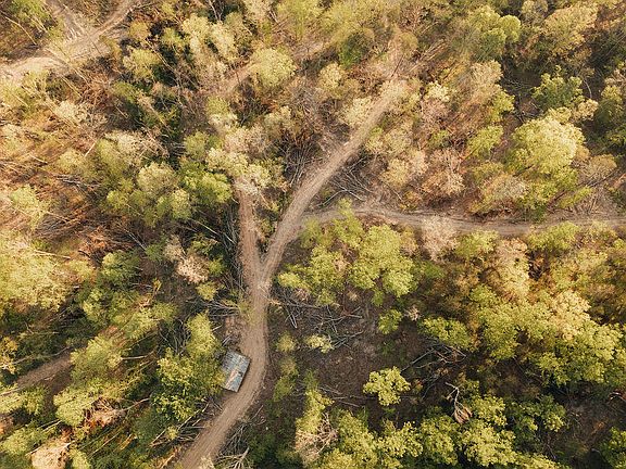 2nd image of 2697 Pine Ridge Rd