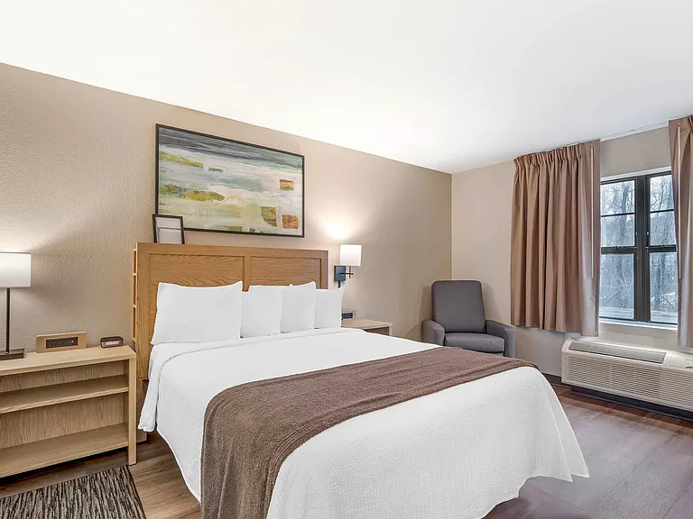 Studio Suite - 1 Queen Bed