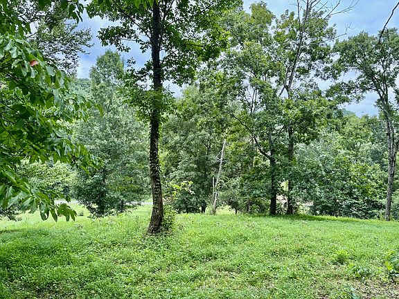 3rd image of 564 Dry Branch Rd Lot 3