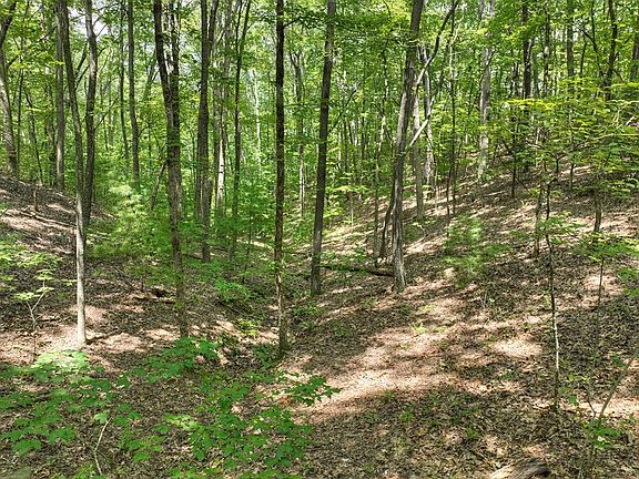 4th image of Laurel Springs Rd