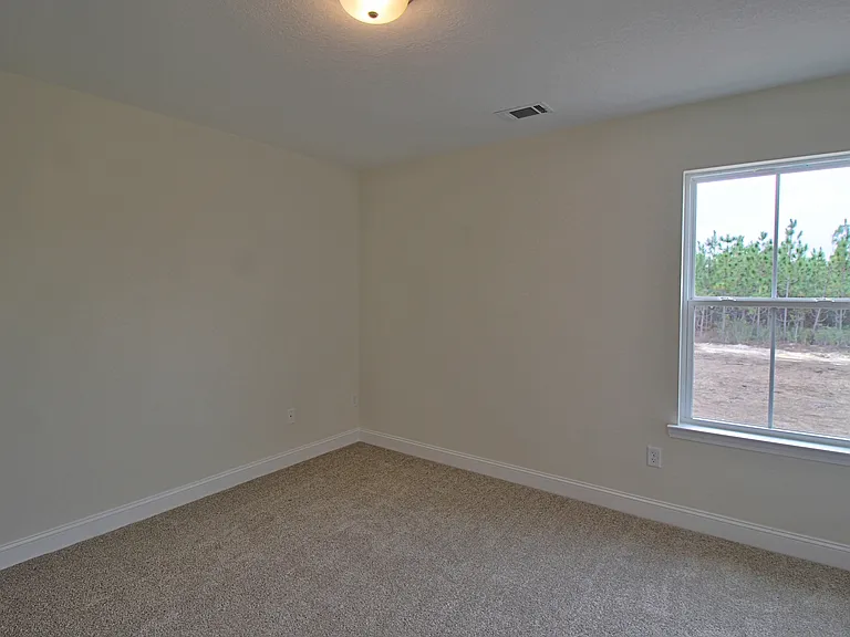 149 Franklin Tree Dr — Photo 16