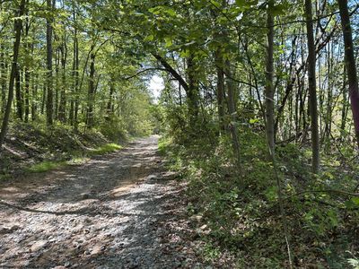 LOT 5 Crane School Rd, Terra Alta, WV, 26764