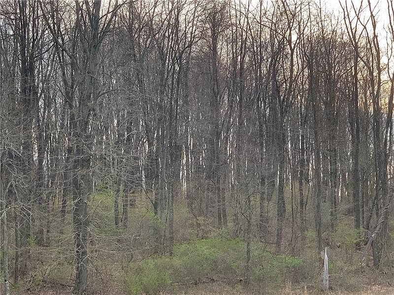 2nd image of 0 Paradise Rd