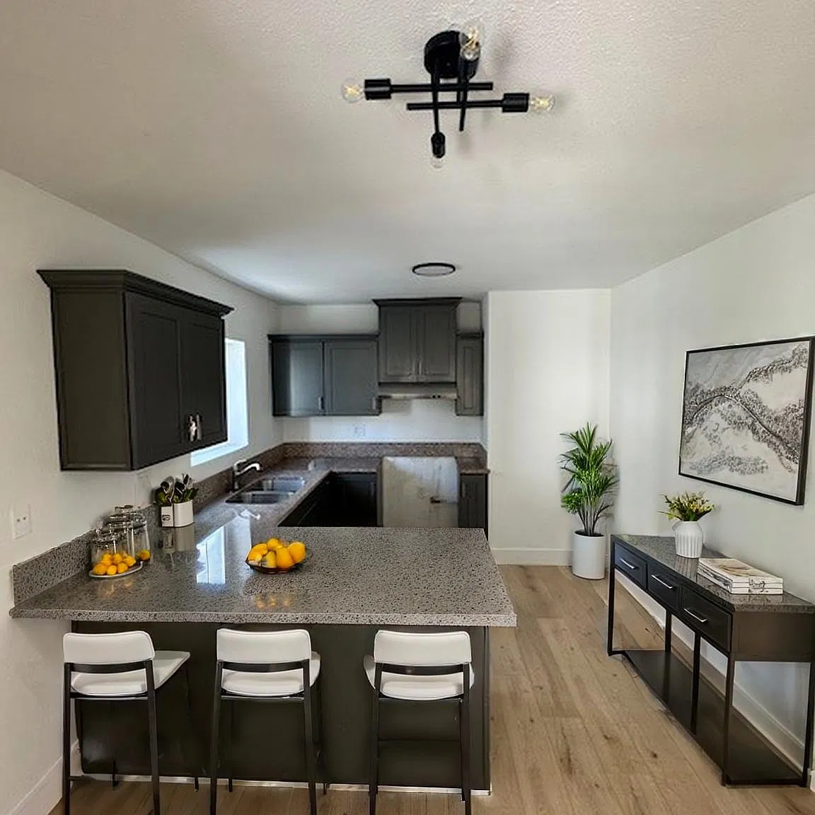 4 bed, 1000 sqft, $3,495 — Photo 3