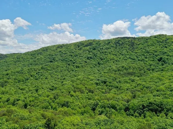 604 Solomon Seal Way Lot 39, Maryville, TN 37803