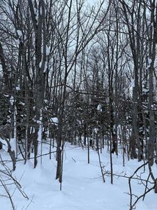 3-10 Firesteel Rd, Ontonagon, MI, 49953