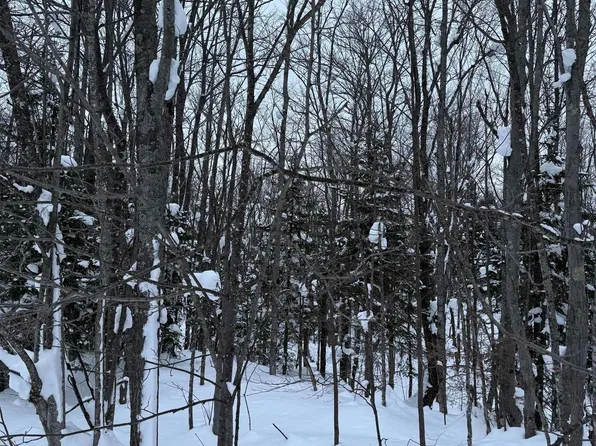 3-10 Firesteel Rd, Ontonagon, MI 49953