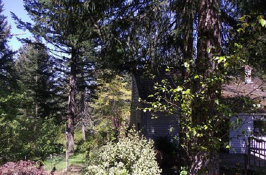 2nd image of 37223 Dogwood Dr