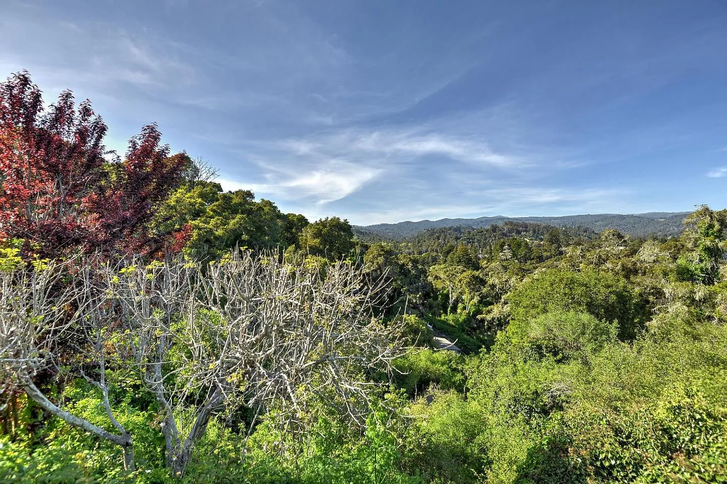 449 Vista Del Mar Dr photo 1