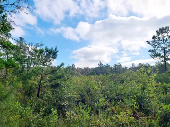 0 SW Wabasso Ter, Greenville, FL 32331