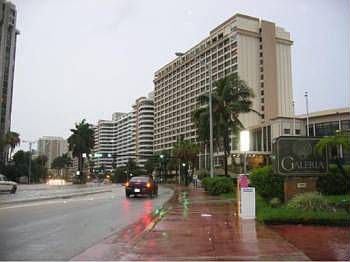 1st image of 5445 Collins Ave APT Bay12