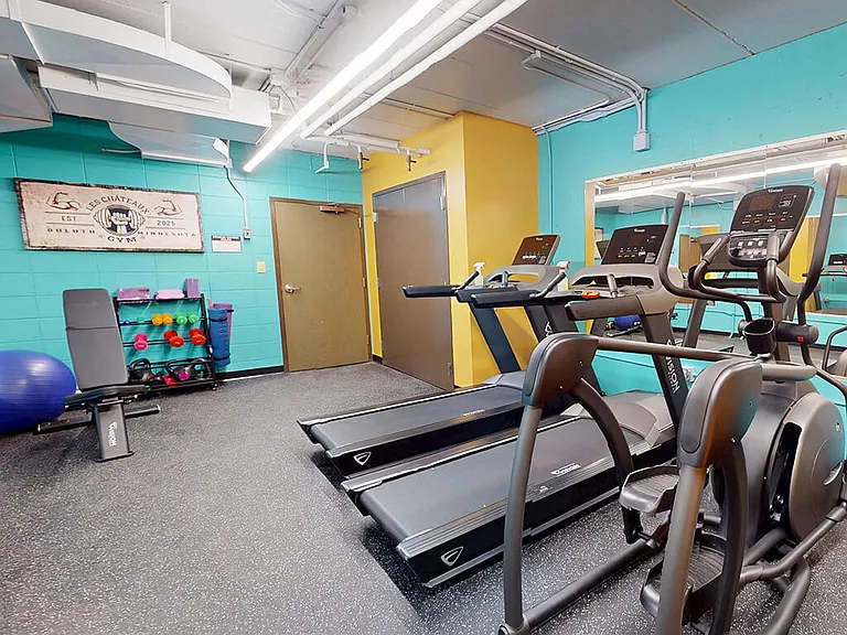 Free Weights