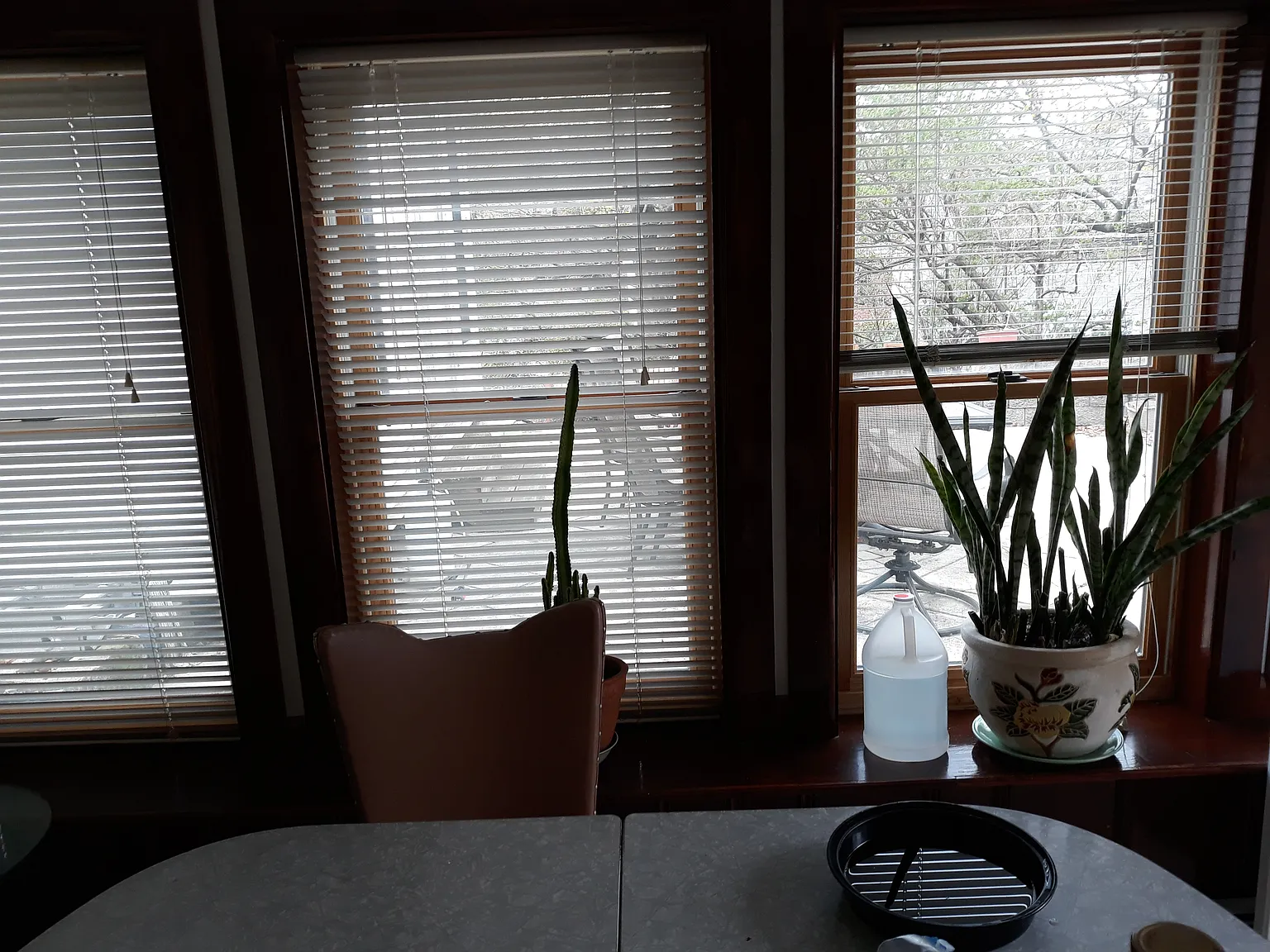 Studio, 370 sqft, $2,200 — Photo 3